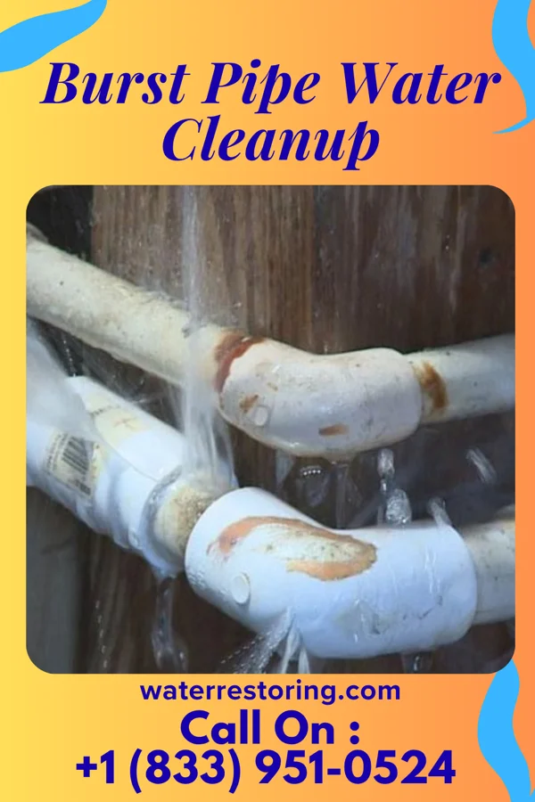 Burst Pipe Water Cleanup in Hallettsville, TX