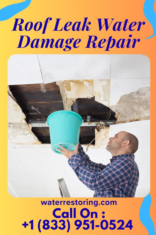 Roof Leak Water Damage Repair in Hallettsville, TX
