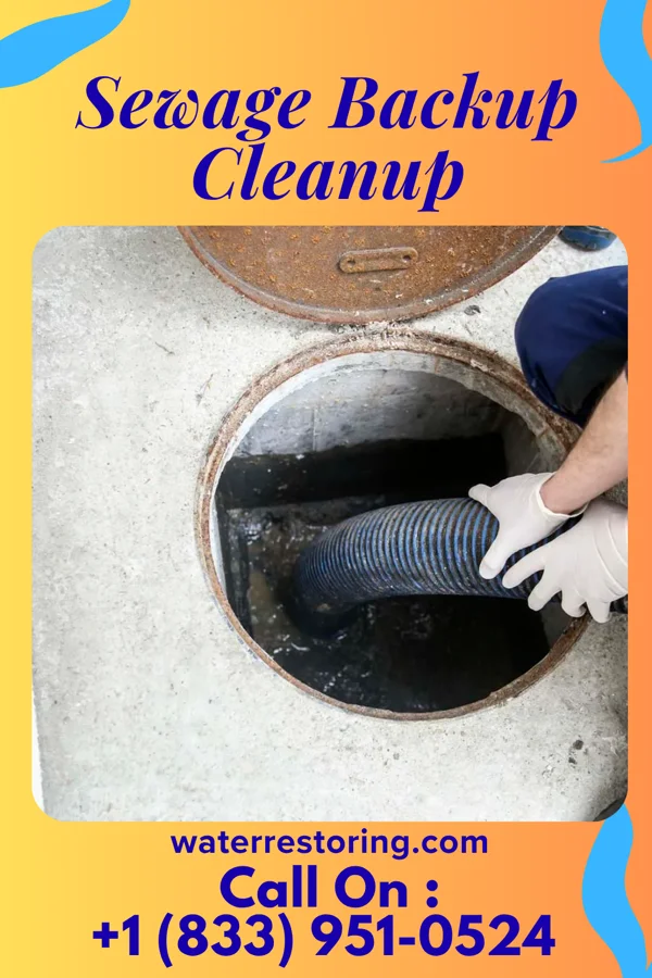 Sewage Backup Cleanup in Hallettsville, TX